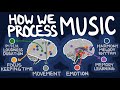 Musical Neuroanatomy | Neuroscience for Muscians