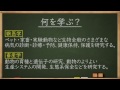 学問分野紹介【獣医学・畜産学篇】～大学・専門など進路選びに役立つ動画