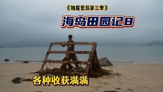 【獨居荒島第三季8】一夜大潮送來大量建材  海景洋房今天開工！#vlog#戶外#探險#野外求生#野外生存