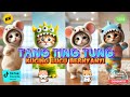 TANG TING TUNG VERSI KUCING LUCU VIDEO BARU