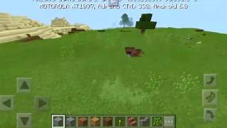 NUNCA ESCREVA ESSA PALAVRA NO MINECRAFT POCKET EDITION !!