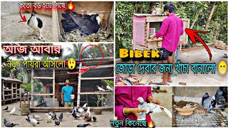 আজ আবার নতুন পায়রা আসলো 😲Bibek জোড়া দেওয়ার জন্য খাঁচা বানালো#myworld #petsvlog