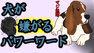 犬が聞きたくない言葉とは…愛犬にも当てはまる？#犬の雑学 #犬#犬好き