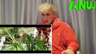 Roblox Logan Paul Diss Track Videos 9tubetv - 