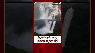 Jog Falls Viral Video | Shivamogga | ಪ್ರವಾಸಿಗರ ಕಣ್ಮನ ಸೆಳೆಯುತ್ತಿದೆ ಜಲಪಾತ | Vistara News