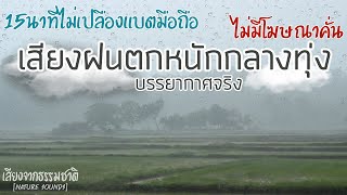 เสียงฝนตกหนักกลางทุ่ง(กล่อมนอนด้วยบรรยากาศจริงๆ) 15 นาทีไม่ต้องตื่นขึ้นมาปิด | [Nature sounds]