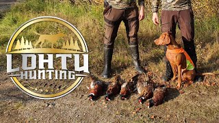 Pheasant Dog Training | Magyar Vizsla Bona