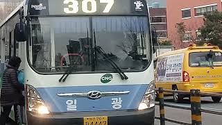 부산 307번버스