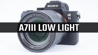 Sony A7III Best Low Light Settings