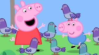 Peppa Pig Official Channel | Season 8 | Compilation 2 | Kids Video