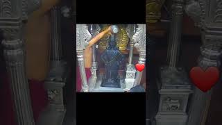 Shri Vitthal darshan Pandharpur || 24/08/2023 #Status