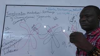 Lecture 042: Understanding the mechanism, molecular basis and effects of Mutation