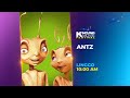 Kapuso Movie Festival (Sunday): Antz Teaser [27-OCTOBER-2024]