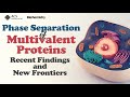 Phase Separation of Multivalent Proteins: Recent Findings and New Frontiers. Rohit Pappu