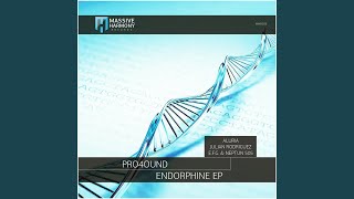 Endorphine (Aluria Remix)