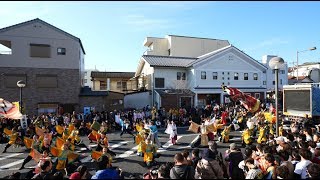 [4K] 同志社大学京都よさこい連 心粋 『澄晴』バサラカーニバル バサカニ 2019