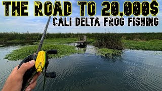 Summer Ca Delta Frog Fishing | BBT Delta | The Road To 20,000