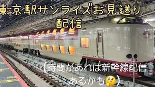 仕事帰りの東京駅サンライズお見送り配信【masuyasu】