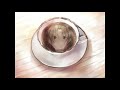 Katawa Shoujo OST - Teatime, Fast Forward - Extended