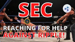 XRP Ripple BREAKING news today: SEC seeks HELP in SEC v Ripple, "No turning back," former SEC lawyer