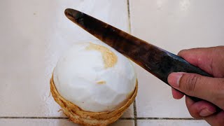 Amazing Buffalo Horn Knife - How to use buffalo horn knife for Coconut Cutting Flesh | มีดเขาควาย