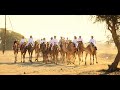 Oman Camel Race❤❤❤😍😍 #shorts #oman