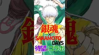 【銀魂× SAKAMOTO DAYS】待望のコラボ #銀魂 #sakamotodays #サカモトデイズ #杉田智和 #shorts