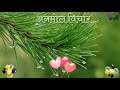 नाती जपत असताना या गोष्टींचा जरूर विचार करा नाती टिकून राहतील happy thought suvichar