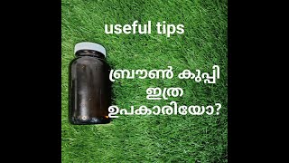 ബ്രൗൺ കുപ്പിയും ബ്രൗൺ കവറും വലിച്ചെറിയണ്ട ട്ടോ വളരെ ഉപകാരിയാണ്/useful tips/Rajini's Kitchen