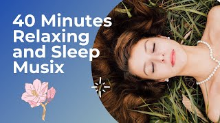 40 Minutes Relaxing Music ♪ Beautiful Music, Sleep Music, Stress Relief, Meditation Music