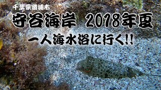 守谷海岸【海水欲にもまぁよくも一人でいきますね！当然行くでしょう。】