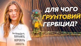 КОЛИ ТОЧНО ТРЕБА ГРУНТОВИЙ ГЕРБІЦИД?