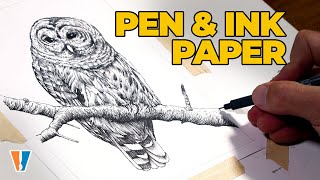 Pen and Ink Paper - Owl Drawing