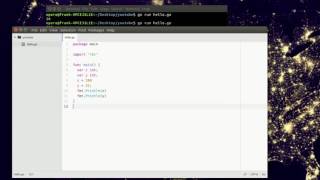 Google Go Programming Tutorial - Variables