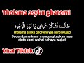 Tholama asyku gharomi ya nurol wujud (lirik Arab, latin dan terjemahan) Viral tiktok