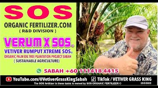 ORGANIC PALM OIL TREE PLANTATION TRANSFORMED BY NEW BREAKTHROUGH TECHNOLOGY FROM VERUM X SOS © 🆘