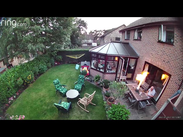 Garden Explosion Animal Weird