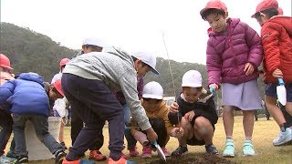 福島から南伊豆に寄贈　新種の桜　植樹式