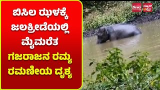 ಬಿಸಿಲ ಝಳಕ್ಕೆ ಜಲಕ್ರೀಡೆಯಲ್ಲಿ ಮೈಮರೆತ ಗಜರಾಜನ ರಮ್ಯ ರಮಣೀಯ ದೃಶ್ಯ | News Kannada