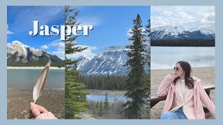 Jasper National Park｜贾斯伯国家公园｜路遇各种野生动物和雪山🏔️｜Irene's Travel Vlog