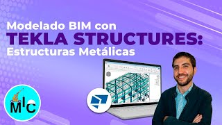 MODELADO BIN DE ESTRUCTURAS METALICAS CON TEKLA STRUCTURES (Clase: 1/7)