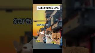 什么是满级采访#有趣 #故事 #貓 #猫猫meme小剧场 #猫meme #内容过于真实 #猫meme小剧场 #猫meme剧场 #猫迷因#tiktok #喵不可言 #shorts