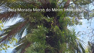 Lindo Sítio em Imbituba Mirim