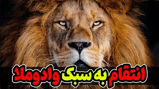 انتقام وادوملا : شیری که با انتقام از کفتارها غیرت را معنی کرد