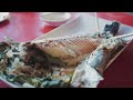 驚人的原住民烤魚與山珍海味！這輩子一定要吃過一次！ aboriginal traditional delicacies it s so amazing.