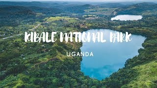 Kibale National Park, Uganda | Crater Safari Lodge