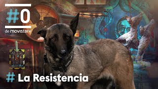 LA RESISTENCIA - ¿Lleva droga el público de La Resistencia? | #LaResistencia 10.05.2021