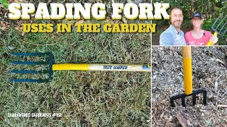 🛠 Spading Fork Uses In the Garden - QG Day 152 🛠