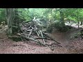 externsteine im teutoburger wald kompletter rundgang horn bad meinberg deutschland