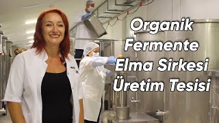 Organik Fermente Elma Sirkesi,Yeni Fabrika,(Fermente Mutfağım Üretim)